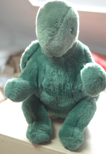 Sigikid schildkröte grün - schildkröte,