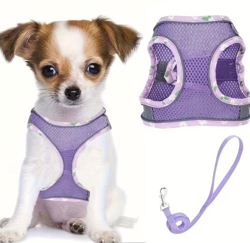 Hundegeschirr katzengeschirr - hundegeschirr,
