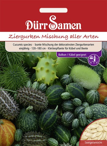 Ziergurken bunte mischung - bunte,