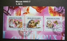 Eulen Uhu Kauz Vögel Guinea 8885-7