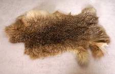 Schönes Hasenfell Länge