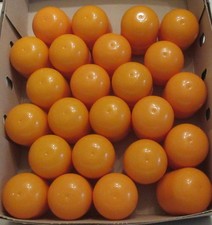 24 leere  orange Maxi-Eier