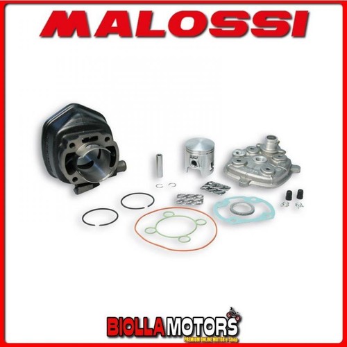 318284 zylinder malossi - 318284, sport