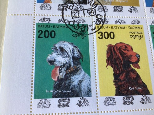 Collie irish wolfhound german - wolfhound,