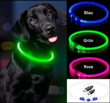 Led hundehalsband usb - led,