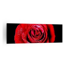 Wandbilder 160x50cm