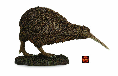 Kiwi neuseeland vogel - kiwi,
