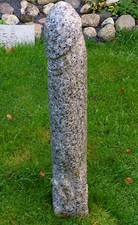 riesiger Phallus 73 cm