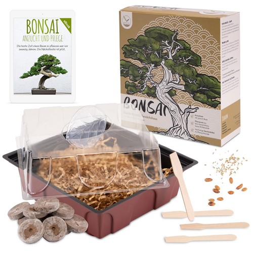Bonsai starter kit - starter, inkl