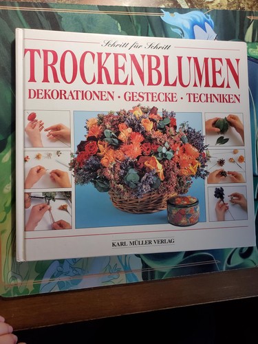 Trockenblumen unbekannt - trockenblumen,