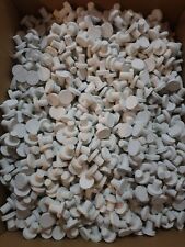 250 Ablegersteine Plugs Korallenableger Meerwasser Korallen Aufzuchtstein