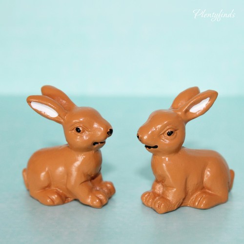 Hase kaninchen miniatur - hase,