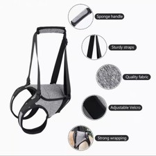 Neu Trage Laufhilfe Gurt Laufen Hund Bandscheibenvorfall Gr S Geschirr