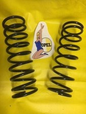 NEU Federn Fahrwerk hinten