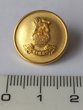 10 Metallknöpfe Gold Löwe +