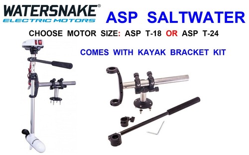 Watersnake asp salzwasser - watersnake,