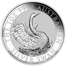 Australien 1 oz Silber Schwan