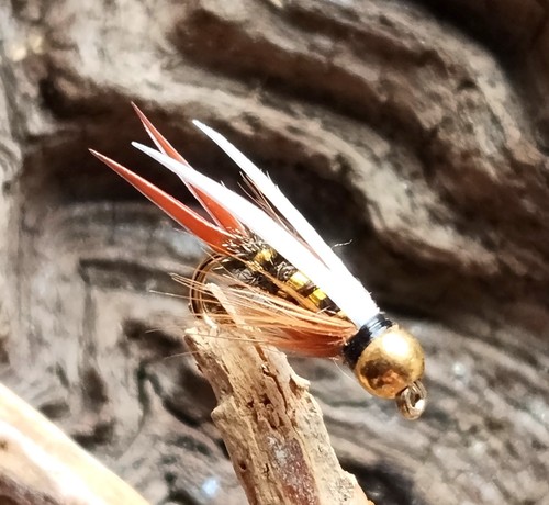 Gilchrist fliegen x - fliegen., 3