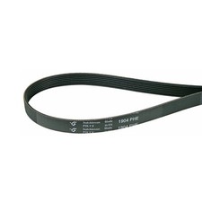 Keilriemen Rippen Riemen 1904PH7E Wäschetrockner Universal Indesit C00378055
