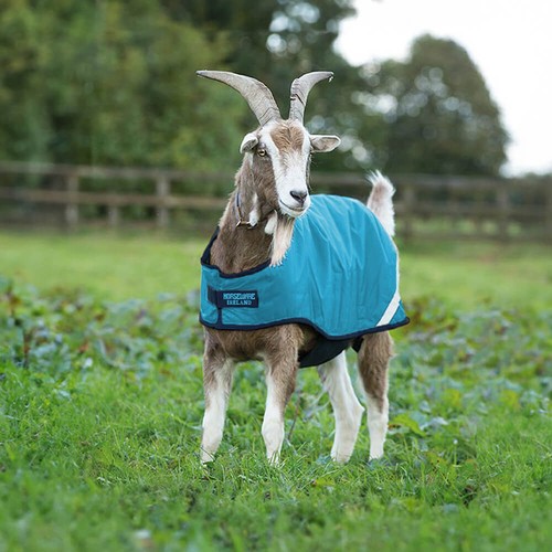 Horseware goat coat 100g - coat,
