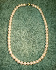 Echte neue japanische Akoya