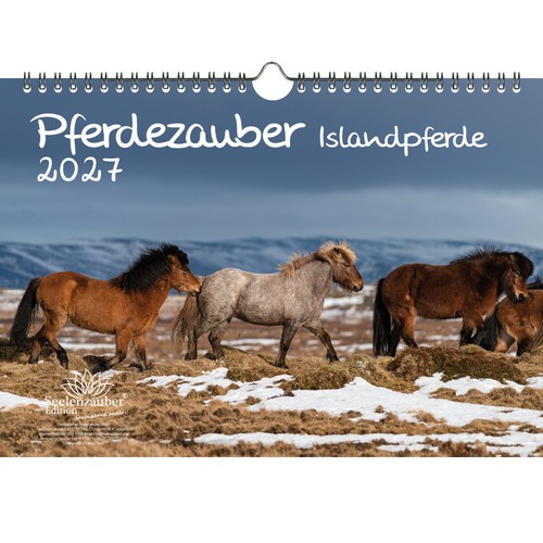 Pferdezauber islandpferde din - islandpferde,