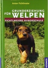 Grunderziehung für Welpen