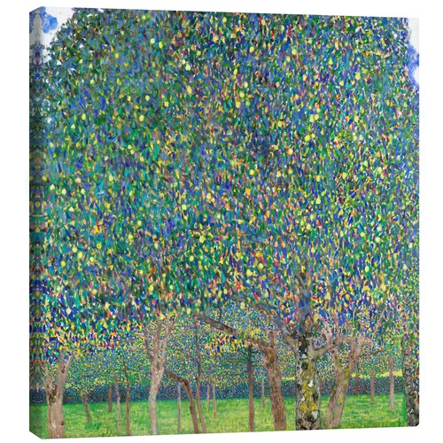 Leinwandbild birnenbaum - leinwandbild,