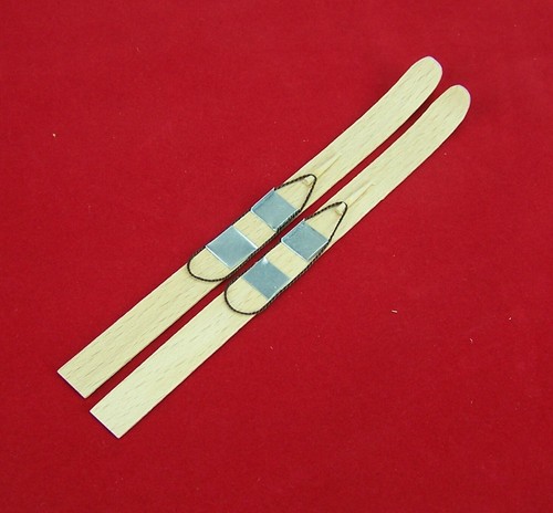 Paar mini skier - 1, aus