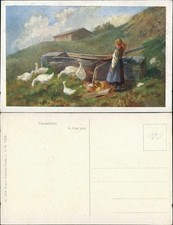 Ansichtskarte  " Ganseliesel"