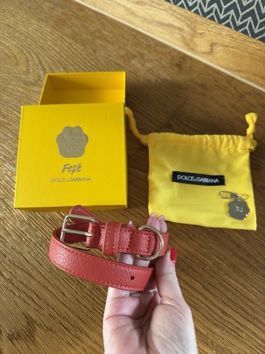 Dolce gabbana fefé hund - dolce,
