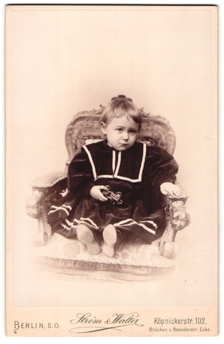 Fotografie strom walter - fotografie, &