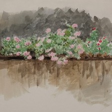 Blumen Blumenstudie Geranien unsigniert Aquarell 2 Hälfte 19 Jhd