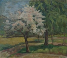 Parklandschaft im Frühling