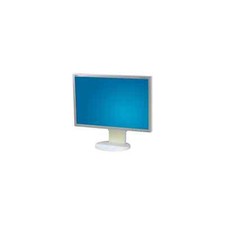22" TFT LCD NEC MultiSync