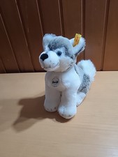 Steiff Husky Bernie 104978 ca 25cm Plüsch Wie Neu