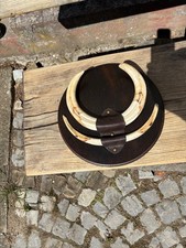 Afrika Trophäe Warzenschwein