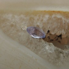 Echter Tansanit Navett