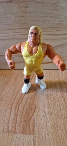 Wwf hasbro perfect action - mr.,