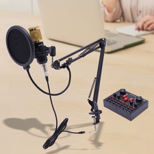 Schwarz Mikrofon Vielseitig