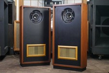 GOODMANS Axiom 80 25cm Full