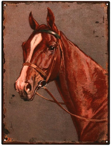 Deko blechschild pferd - deko,
