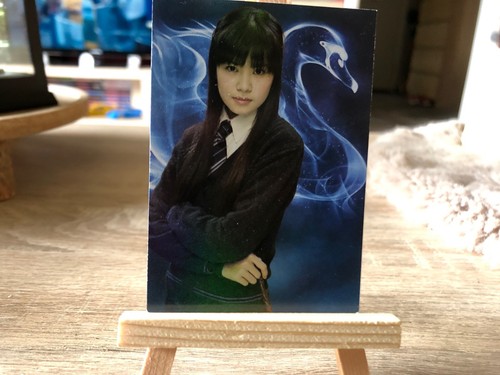 Panini harry potter aus - potter,
