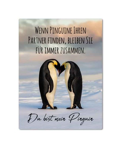 Magnet bist mein - -, du