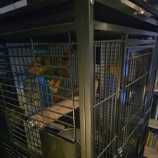 Voliere Castell Nova Play