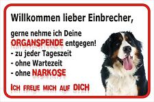 Schild S0693 - Vorsicht Berner