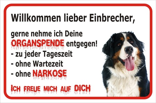 Schild s0693 vorsicht berner - schild,