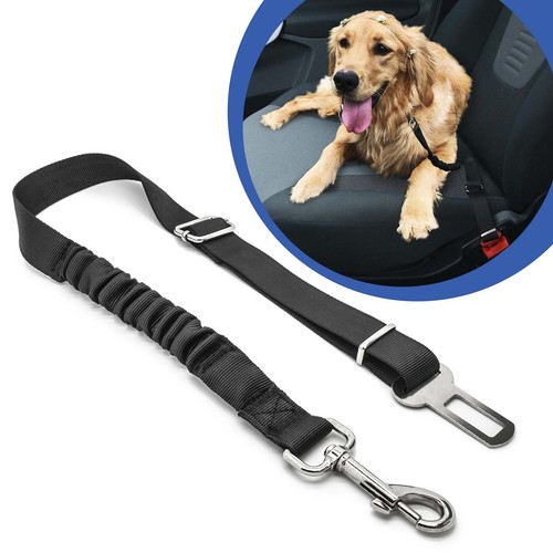 Auto kfz hunde sicherheitsgurt - auto,
