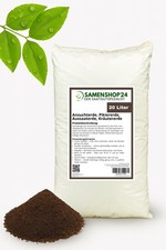 Anzuchterde (Pikiererde