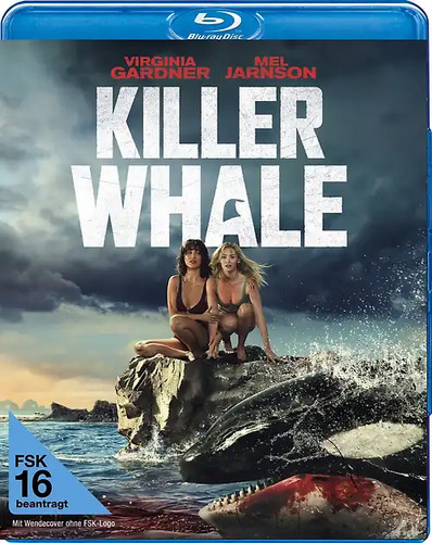 Killer whale - killer,